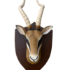 Gacela