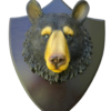 Oso negro